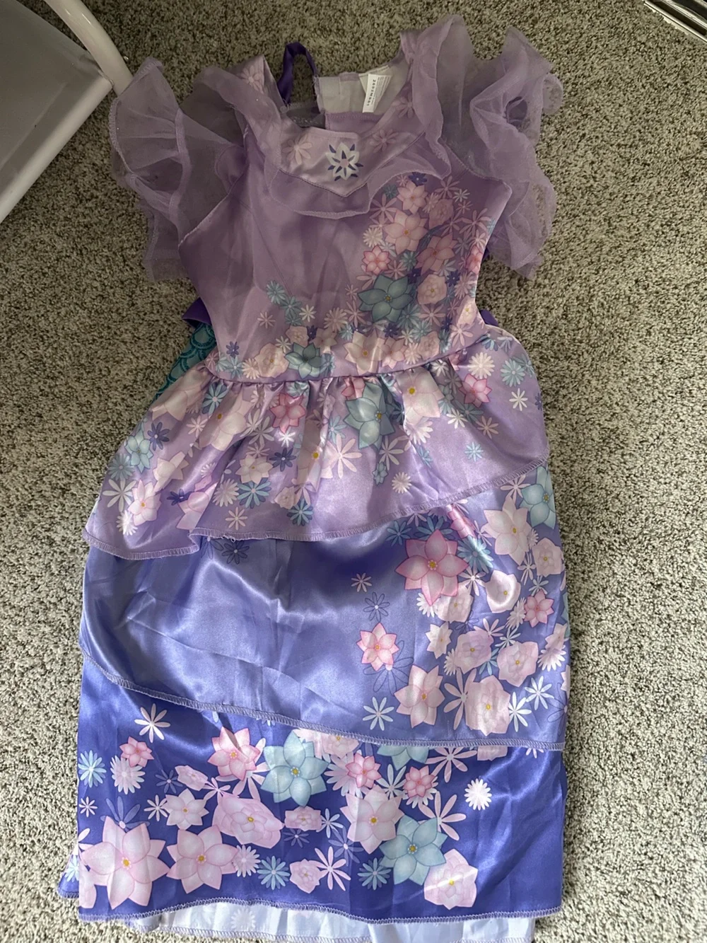 Encanto Costume Dress - Isabella